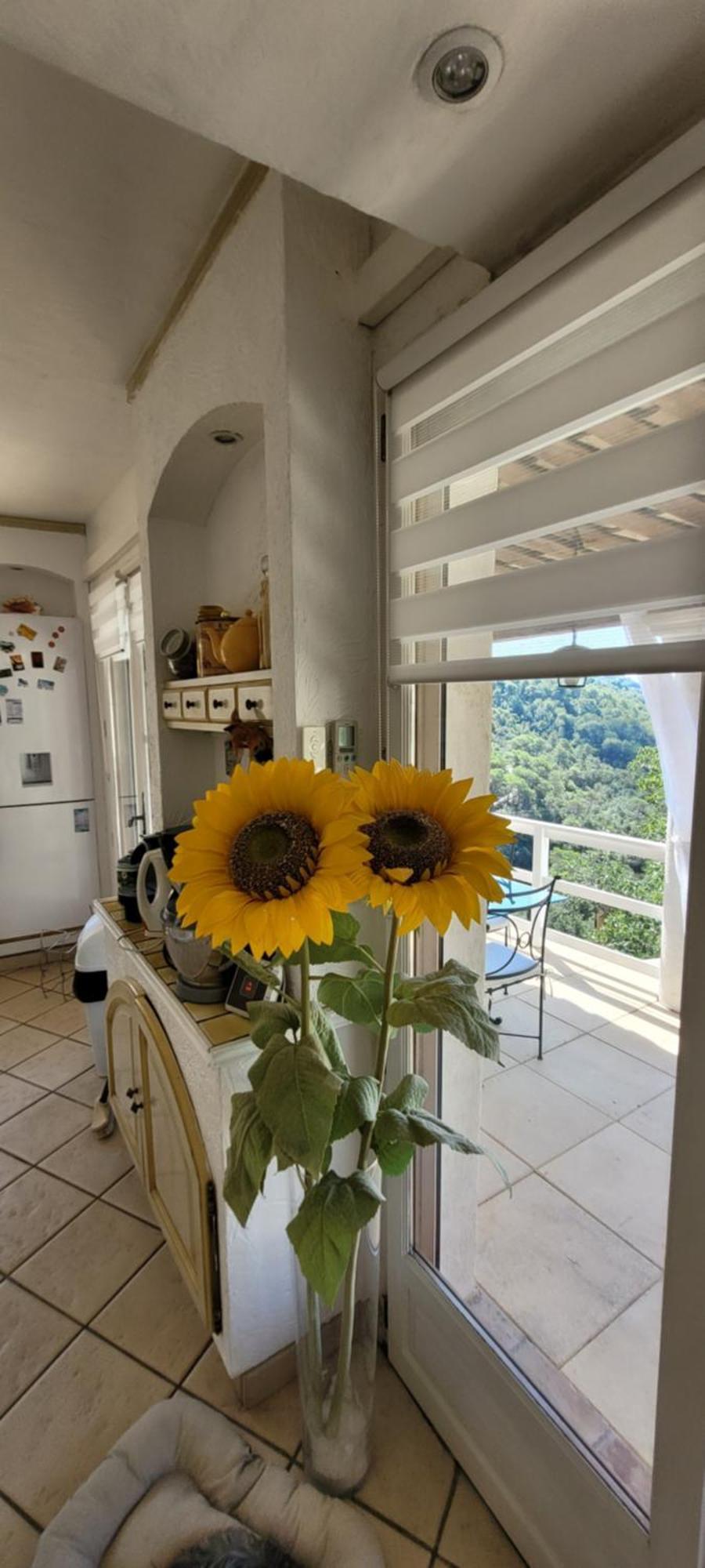 L'Etoile De Nice Villa Colomars Buitenkant foto